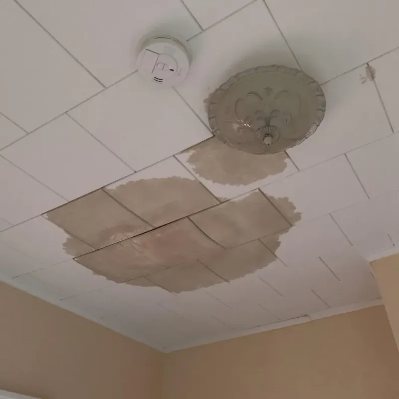Ceiling Water Damage Repair in Norfolk, MA