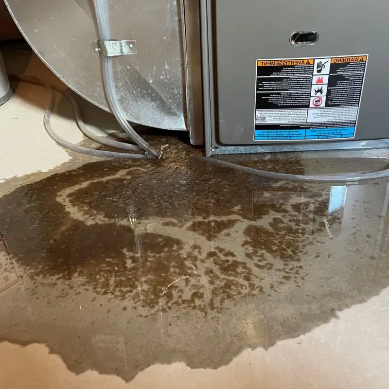 Pipe Burst and Leak Restoration in Norfolk, MA